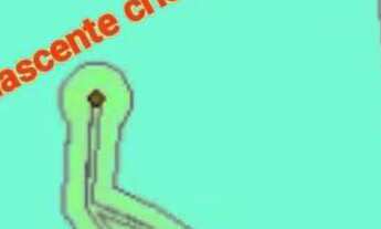 Imagem 3: Terreno de 984.900m² na Rodovia AM 010 KM 148 - Itacoatiara