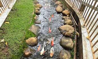 Imagem 3: Imóvel para venda tem 80 metros quadrados com 3 quartos em São Francisco - Goiânia - GO