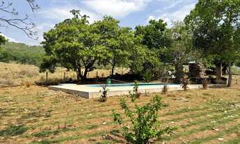 Imagem 5: Fazenda 212 alqueires Porto Nacional TO