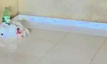 Imagem 5: Vende-se casa no Senador Hélio Campos