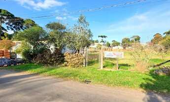 Imagem 2: Terreno Comercial/Residencial para Venda em São José dos Pinhais - PR