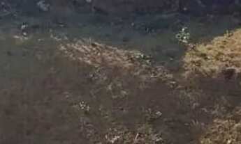 Imagem 6: Casa 2 quartos - Retiro