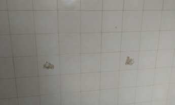 Imagem 2: Aluguel Apartamento Cohab Nova ?Oportunidade