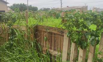 Imagem 6: Chácara a 2,5 KM da cidade