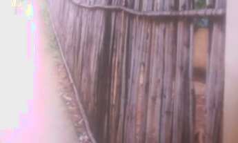 Imagem 4: Vende-se barracão com quintal