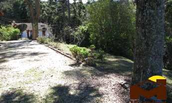 Imagem 3: Chácara com nascentes dentro da cidade