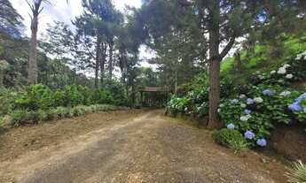 Imagem 3: Chácara com 44783 m² em São Bento do Sul - SC