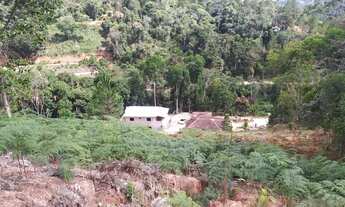 Imagem 3: Fazenda/Sítio/Chácara para venda tem 8000 metros quadrados em Aracê - Domingos Martins - E