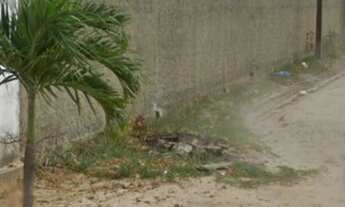 Imagem 3: Terreno - Araçagi (Ao lado da Praia