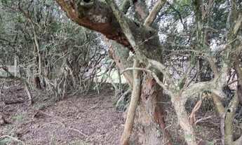 Imagem 7: Ponto comercial de 4000m² a somente 1,5km RS040 em Águas Claras