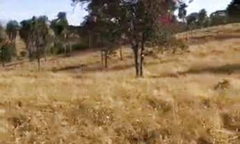 Imagem 7: 53 alqueires em trindade go