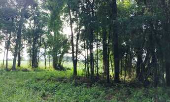 Imagem 7: Chácara 20mil MTS