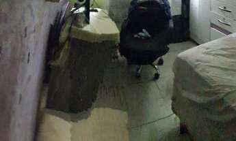 Imagem 6: Vendo na Estância Mestre D'Armas III