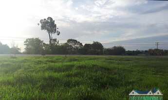 Imagem: Terreno 1400m² as margens da RS 040 em