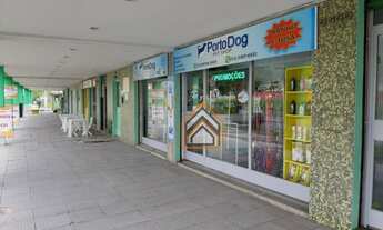 Imagem 2: Apartamento com 2 dormitórios de frente para Ipiranga com sol norte, desocupedo. Barbada!