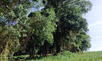 Imagem 5: Chácara 20mil MTS