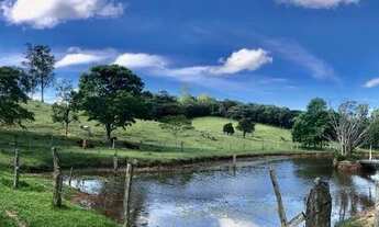 Imagem 3: Sítio com 8,5ha de encher os olhos, em Águas Claras