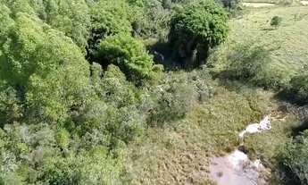 Imagem 1: Fazenda/Sítio/Chácara para venda possui 100000 metros quadrados em Centro - Seritinga - MG