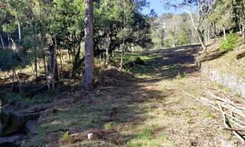 Imagem 7: Bento Gonçalves - Terreno Padrão - Vale dos Vinhedos