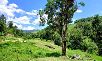 Imagem: ANITÁPOLIS/SC - Lindo terreno com cachoeira