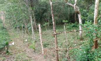 Imagem 6: Terreno Benevides 50× por 100×