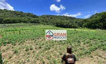 Imagem 4: Chácara em Campo Magro