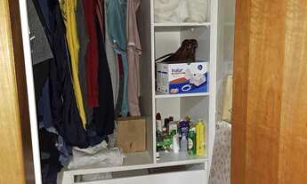 Imagem 4: Apartamento para locação no socorro