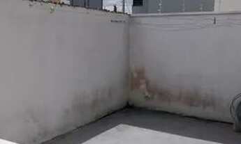 Imagem 5: Apartamento Terreo Bairro Nova Esperança Bal. Camboriu