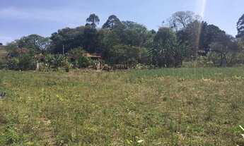 Imagem 4: Vendo ou troco sítio no sul de minas