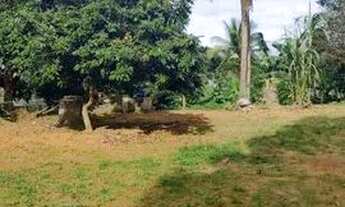 Imagem 3: Vendo Terreno 384m²