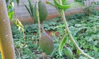 Imagem 2: Terreno - Chácara Santa Margarida - Campinas