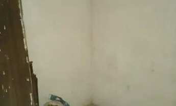 Imagem 3: Casa 1º andar, telha, 2/4, bem localizada, oportunidade