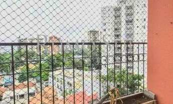 Imagem 3: SAO PAULO - Apartamento Padrão - Jardim Marajoara