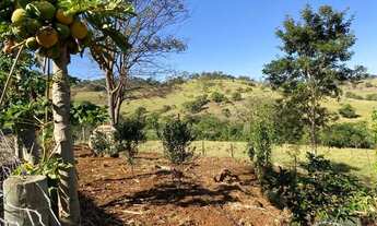 Imagem 4: Excelente fazenda à venda - 3 alqueires