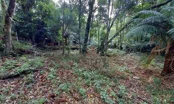 Imagem 2: Terreno no bairro Serra Velha em São Francisco de Paula!