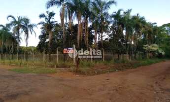 Imagem 7: Chácara à venda, 1 quarto, 1 vaga, Chácara Panorama - Uberlândia/MG