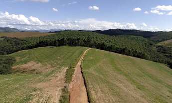 Imagem 5: Fazenda/Sítio/Chácara para venda possui 100000 metros quadrados em Centro - Seritinga - MG