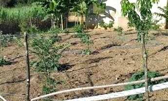 Imagem 5: Vende-se sítio Chácara com venda por R$300.000