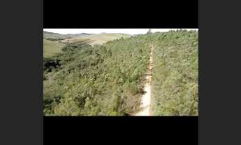 Imagem 7: Fazenda/Sítio/Chácara para venda possui 100000 metros quadrados em Centro - Seritinga - MG