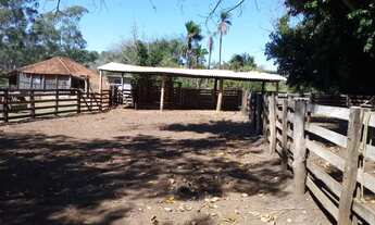 Imagem 6: Fazenda para Venda em Centro Paranaíba-MS - 3097