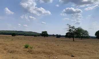 Imagem: Fazenda para aluguel, Rural - Água Boa/MT