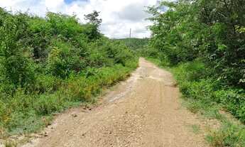 Imagem 4: Vendo 2 lotes ligados, medindo 10x30m cada, região Usina Santana