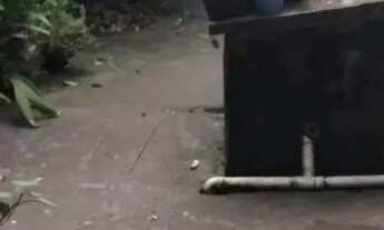 Imagem 5: Casa castanhal Casa com 3 dormitórios