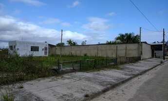 Imagem 2: Casa com 1020 metros quadrados de área total à 250 metros da rodovia