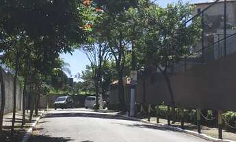 Imagem 2: Apartamento 2 quartos, próx. Jd. Marajoara, Vila Inglesa - São Paulo - SP