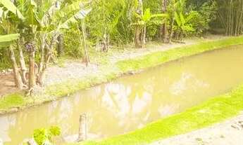 Imagem: Chácara 1.500m2 Arujá