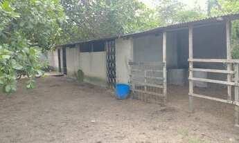 Imagem 5: Chácara Top Chácara com venda por R$250.000