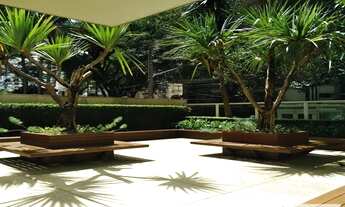 Imagem 3: ÓTIMO APARTAMENTO - PERDIZES