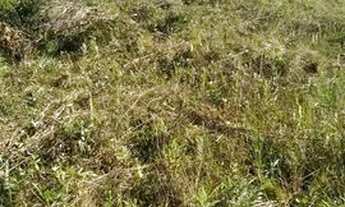 Imagem 2: Terreno plano e seco no Jd cibratel 2 mede 12 por 35 em Itanhaém