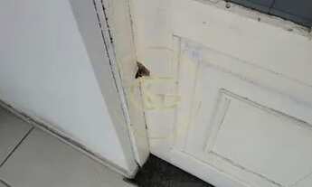 Imagem 7: Casa semi mobiliada com piscina para locação em Dom Bosco - Itajaí, SC